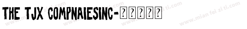 THE TJX COMPNAIESINC字体转换